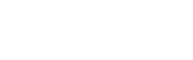 Magic Motorsport — FLEX oprema za chiptuning i programiranje